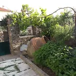 Atrium - Tatil Evi
